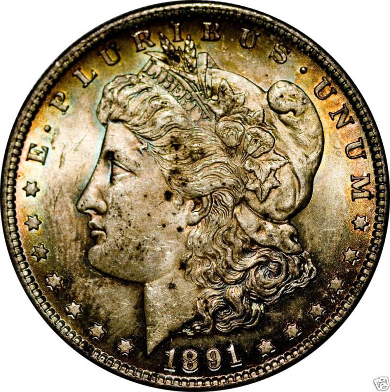 1891 S $1 Silver Morgan Dollar Monster Tone Anacs MS 62  