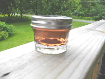 Wild Violet Jelly   4 oz Ball Jar HEAT SEALED  