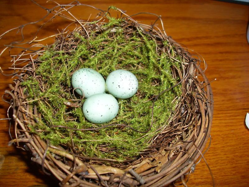 Grape Vine Birds Nest w/Moss * Eggs * Flowers * Moss * Woodland 