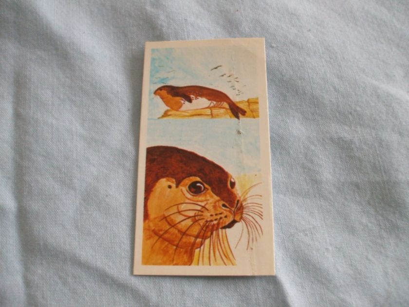 BROOKE BOND TEA CARDSVANISHING WILDLIFE 1978BUY INDIVIDUALLY NOs 1 