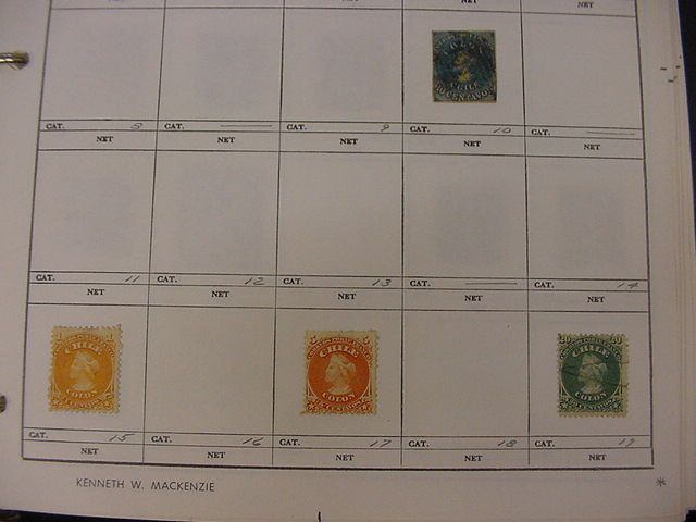 LATIN AMERICA COLLECTION EARLY STAMPS IN BINDERS +++  