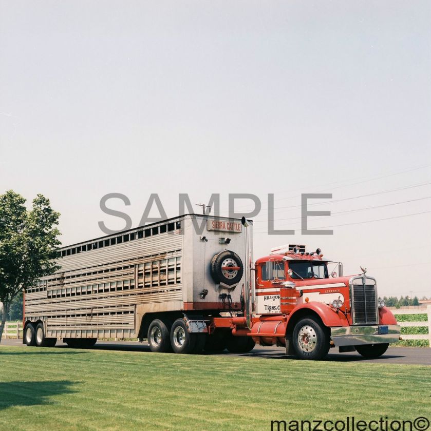 50s KW Sierra Cattle 8 x 10 truck photo  