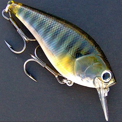 Lucky Craft Fat CB BDS 3 ~ Crank ~ Ghost Baby Bluegill  