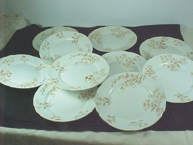 Set 10 T&R BOOTE 1800s DINNER PLATES WATERLOO POTTERIES  