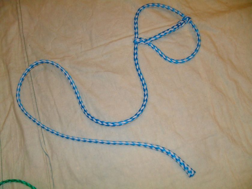 Blue/white rope halter lead sheep goat llama livestock  