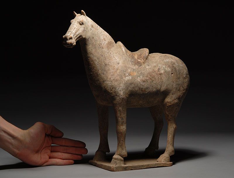 Ancient Chinese Tang Dynasty Pottery Terracotta Horse  