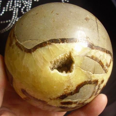 This item is natural tortoise dragon stone Septarium Fossil Crystal 