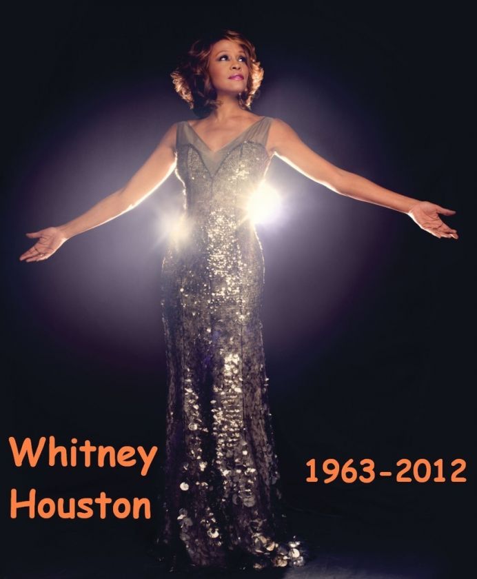 Whitney Houston # 12   8 x 10 T Shirt Iron On Transfer  