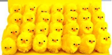 Bulk Lot Soft Toy Chick 5cm x 280 Wholesale Soft Plush # DB8709  