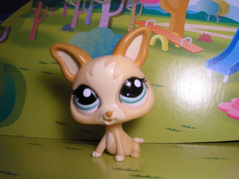 Littlest Pet Shop NEW tan chihuahua dog #1656  