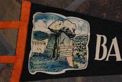 VINTAGE BADLANDS NORTH DAKOTA PENNANT PETRIFIED STUMP  