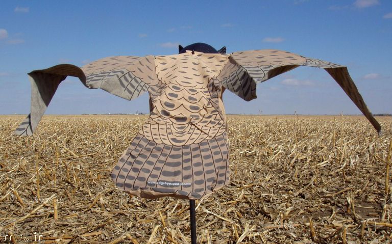 EDGE EXPEDITE PROWLER OWL DECOY CROW GARDEN SCARECROW 706069145217 