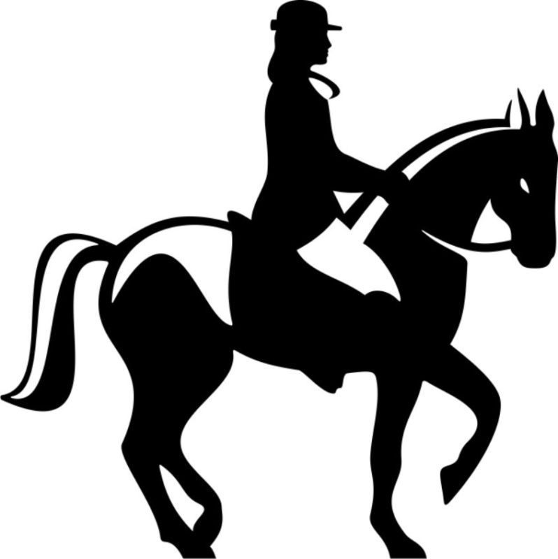 Horse Rider Dressage Equestrian Truck Trailer Decal 8  