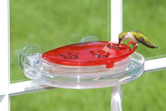 Aspects Jewel Box Hummingbird Feeder #407 Window Feeder 026451124072 